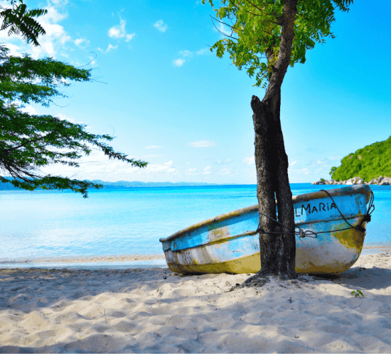 detall d'una platja paradisiaca a costa rica