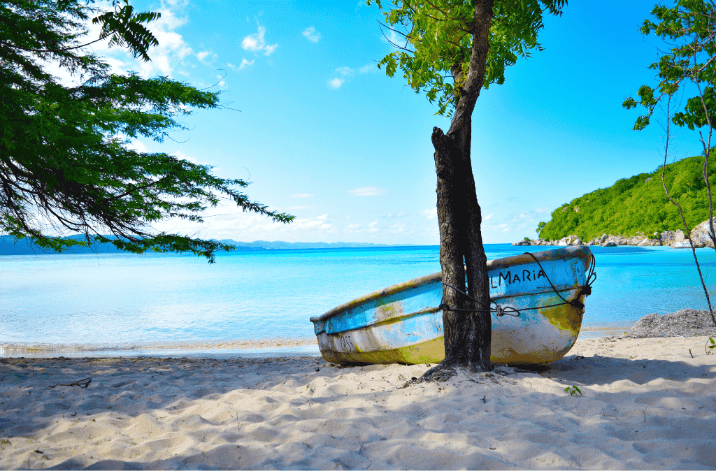 detall d'una platja paradisiaca a costa rica