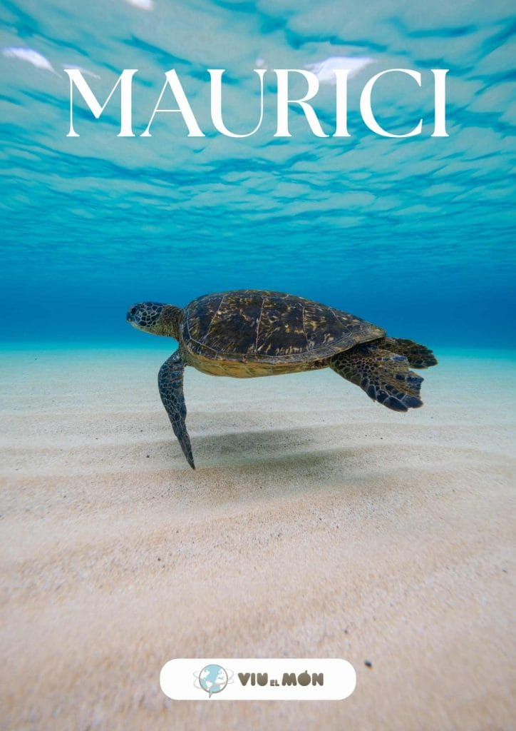 Portada del catàleg de viatges amb destí Maurici