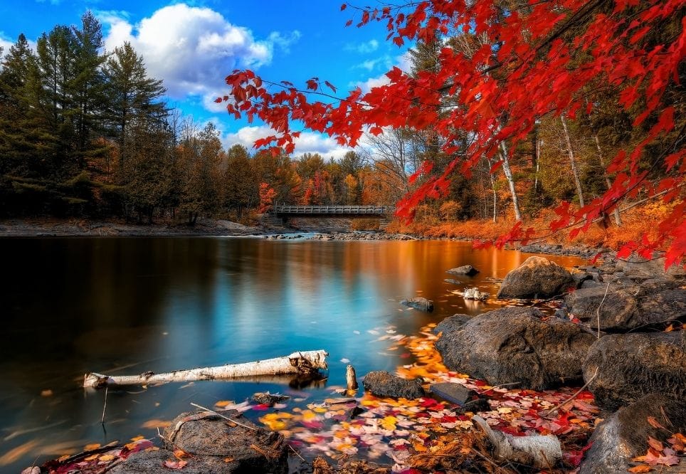 Detall de la muntanya i el llac en plena tardor