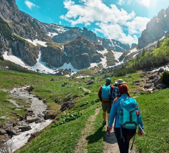 detall de viatgers pujant un cim al bell mig de la natura