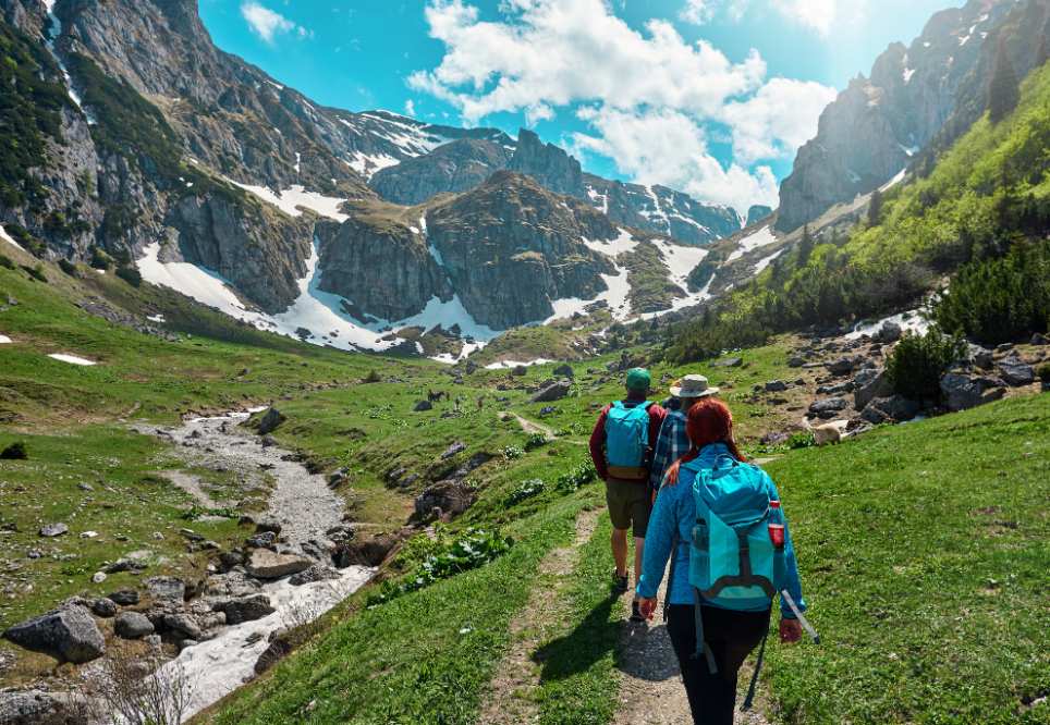 detall de viatgers pujant un cim al bell mig de la natura