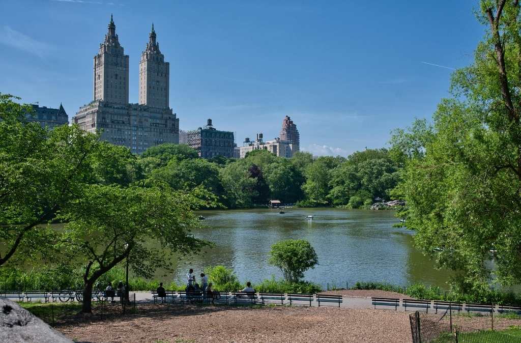 detall de central park ubicat a manhattan