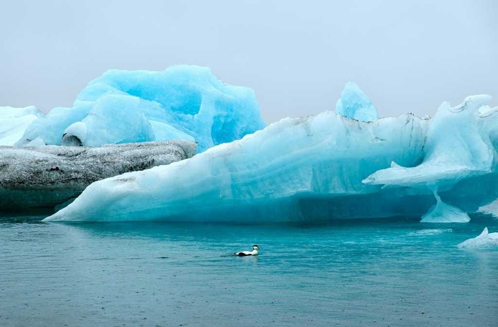 detall de les glaceres de islàndia